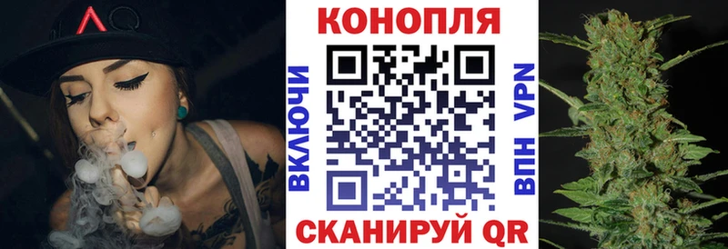 Бошки Шишки OG Kush  наркошоп  Новоузенск 